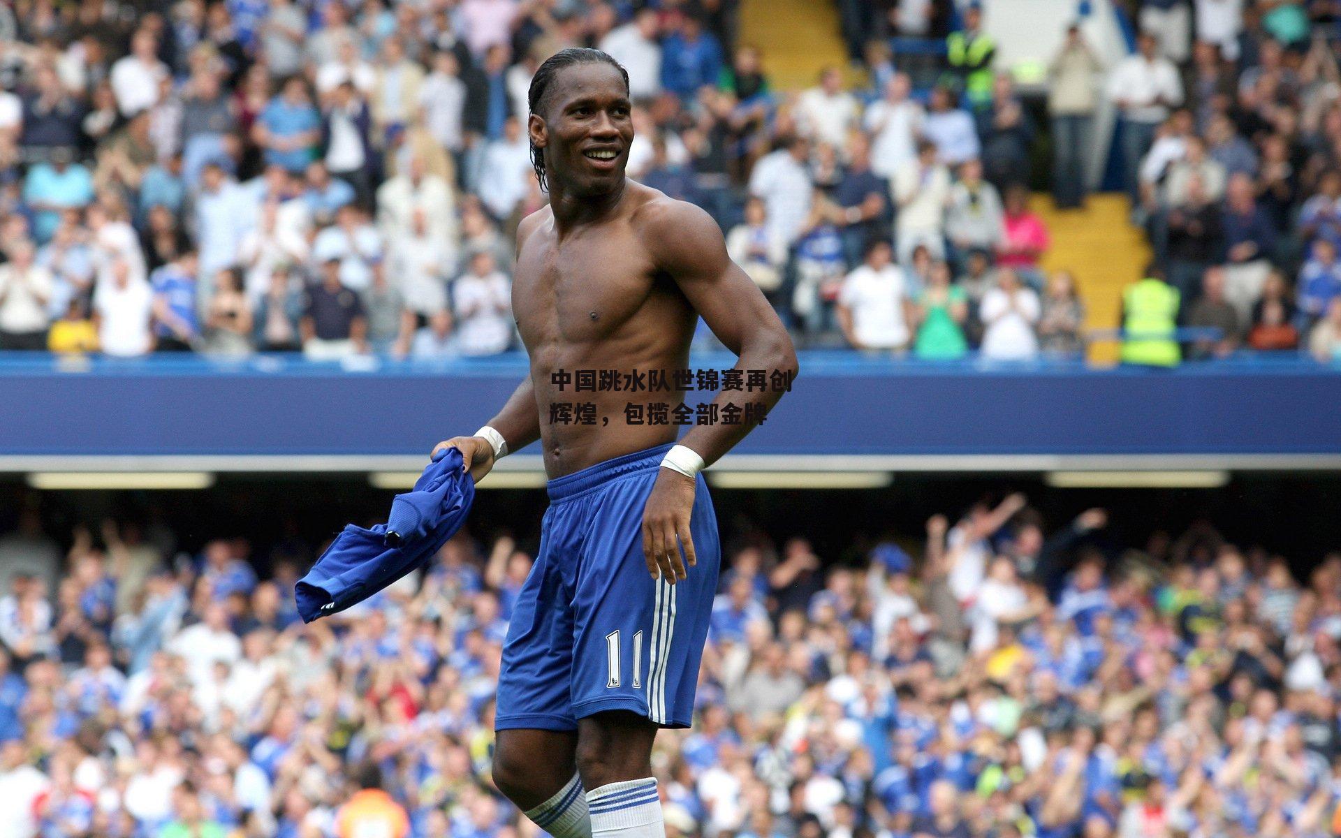 中国跳水队世锦赛再创辉煌，包揽全部金牌