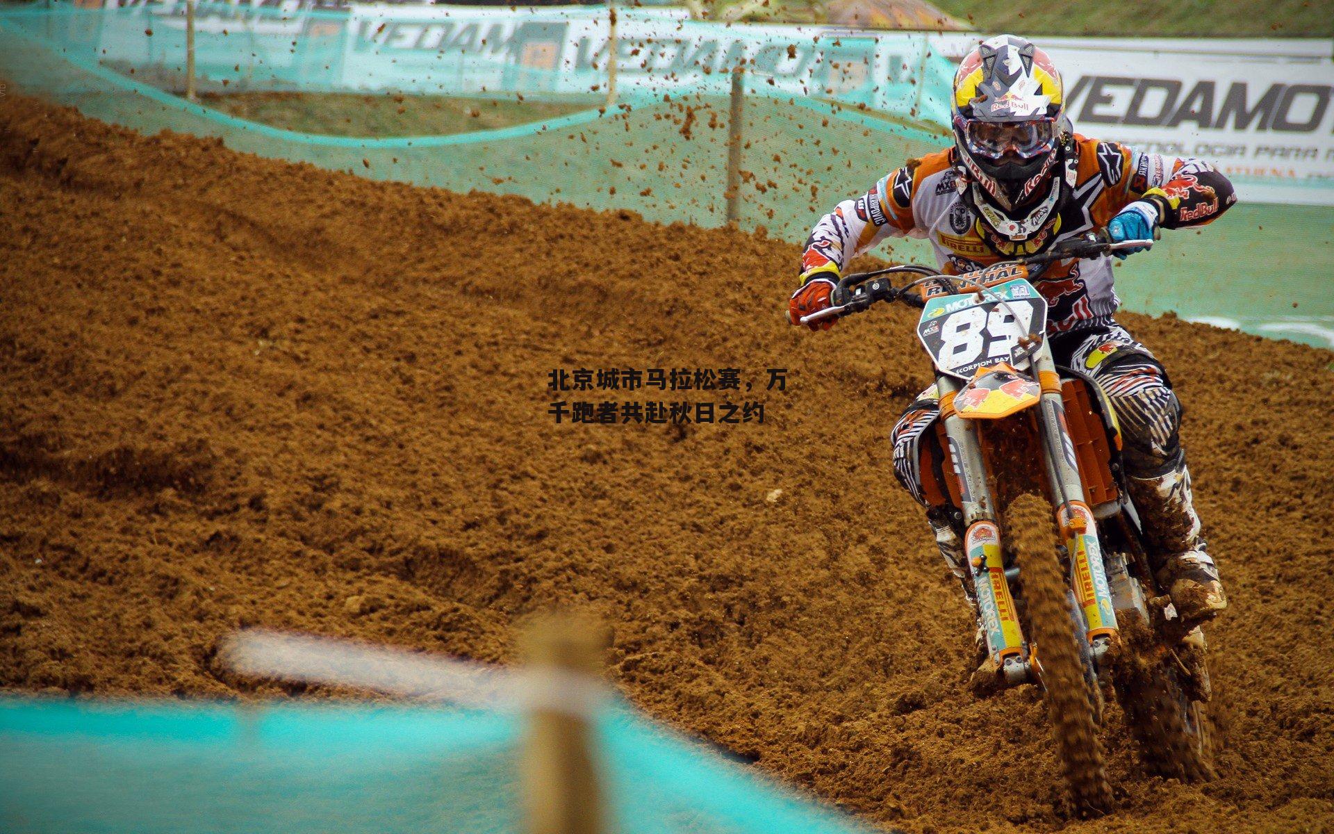 北京城市马拉松赛,万千跑者共赴秋日之约